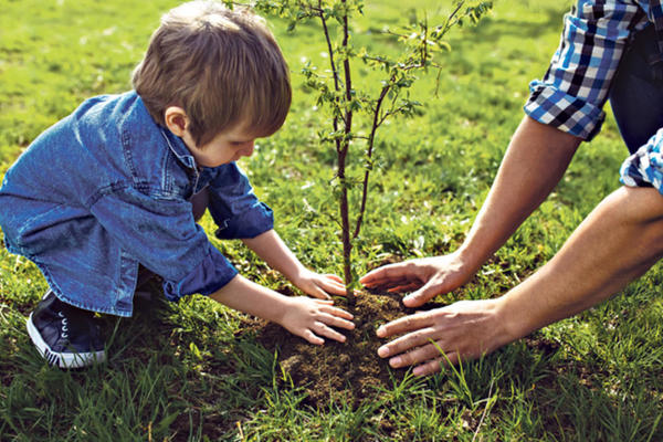 ZASADI DRVO, ZASADI SVOJ KISEONIK: Povežimo decu s prirodom