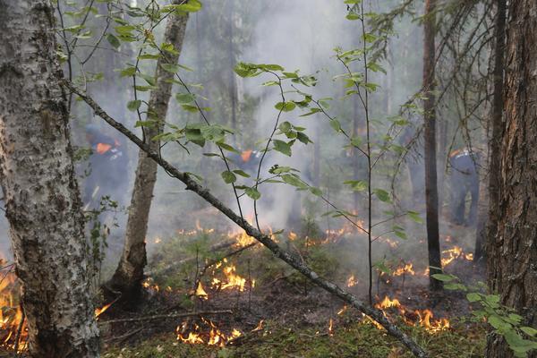 POŽARI UNIŠTILI EKOLOŠKO ZAŠTIĆENA PODRUČJA: U zemlji aktivno 20 požara, za 2 dana izgorelo 200.000 hektara