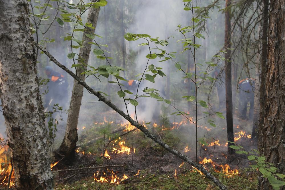 GORI RUSIJA: U toku akcija gašenja 147 šumskih POŽARA koji besne na površini od skoro 303.000 hektara!