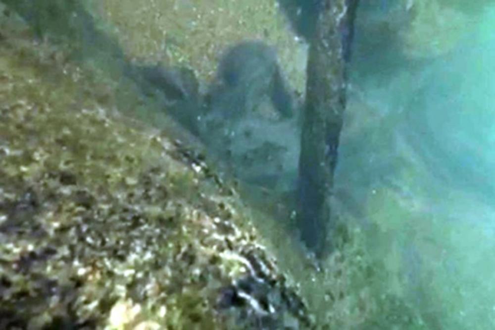 PRONAĐEN MAČ U KAMENU U RECI VRBAS! Arheolozi zapanjeni kada su otkrili iz kog veka potiče!