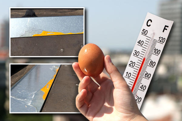 PRŽILI SMO JAJE NA ULICI: Temperatura je prelazila 36 stepeni, ali se desilo PRAVO MALO ČUDO (VIDEO) (FOTO)