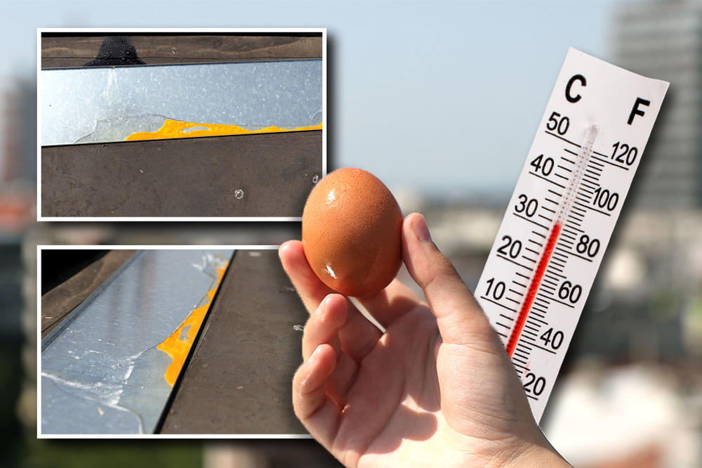 PRŽILI SMO JAJE NA ULICI: Temperatura je prelazila 36 stepeni, ali se desilo PRAVO MALO ČUDO (VIDEO) (FOTO)