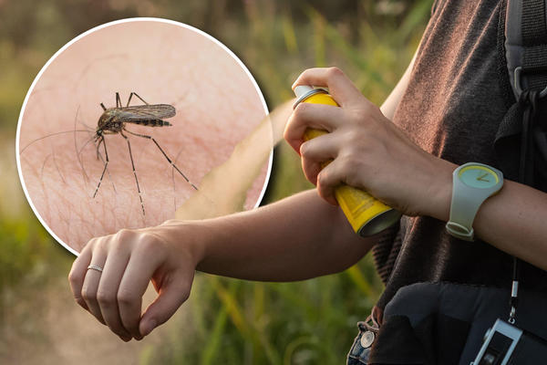 KOMARCI SU NAGRNULI U SRBIJU ZBOG KIŠE: Od prskanja nema ništa, a ovih se posebno ČUVAJTE!