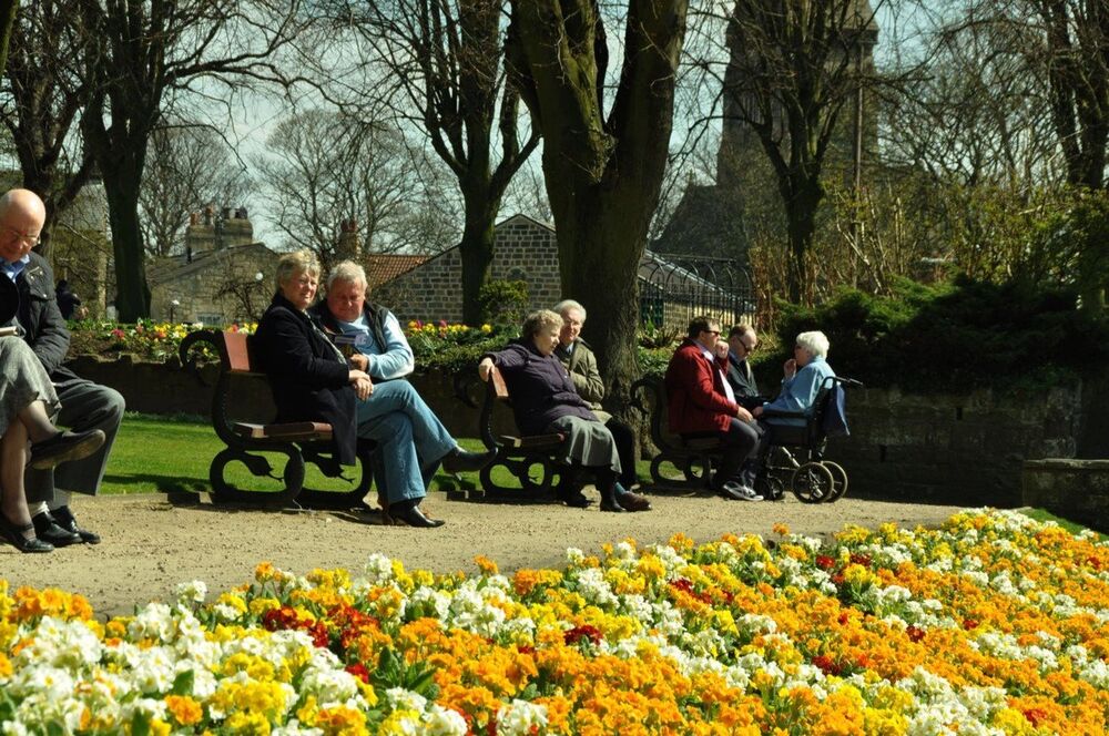 Stariji ljudi, Starci, Babe i dede, Penzionere, Baba, Deda, Park, Penzija