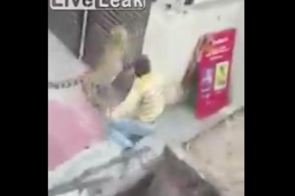 SELJANI SU UHVATILI LEOPARDA U ZAMKU, ALI ONDA SE ZVER OSLOBODILA: Usledio je ČIST PAKAO, ljudi su bežali u PANICI!