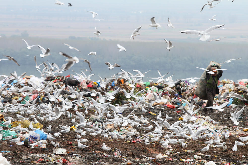 ON RADI U VINČI I ŽIVOT MU NIJE LAK: Pogledajte samo ovu fotografiju, NAJŠEROVANIJA JE DANAS NA DRUŠTVENIM MREŽAMA