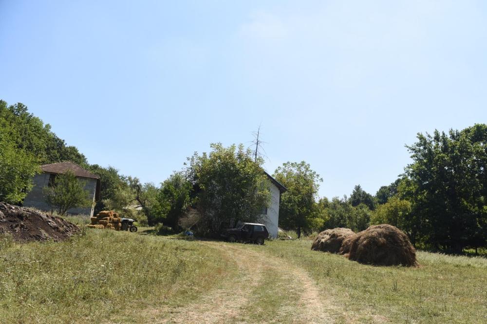 UHVAĆEN I KRIMOS IZ BRZE PALANKE: Policija ga ODMAH stavila na POLIGRAF! Evo šta kažu rezultati!