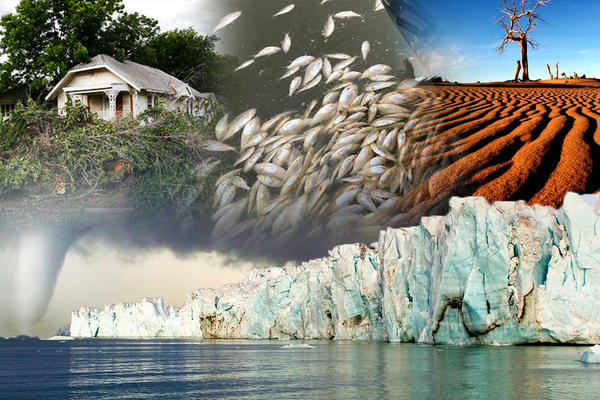 PROMENA KLIME JE NAGLA I IZAZIVA JE ČOVEK: Pitali smo SRPSKE STRUČNJAKE šta misle, šta kažete na njihove odgovore?