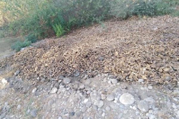 EKOLOŠKA KATASTROFA NA OBALI MORAČE: Neko je izbacio tamo nešto NAJOGAVNIJE IKADA! (FOTO)