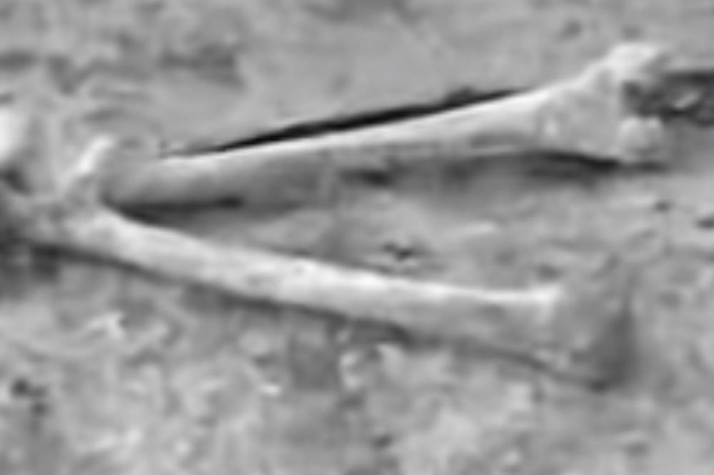 ŠOK U HRVATSKOJ: Uhapšen jer je KRAO LJUDSKE KOSTI!