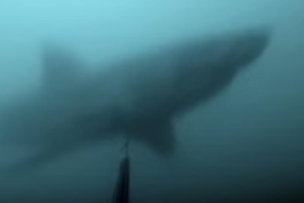 RONIO JE SA HARPUNOM: A onda je pored sebe ugledao ČUDOVIŠTE! (VIDEO)