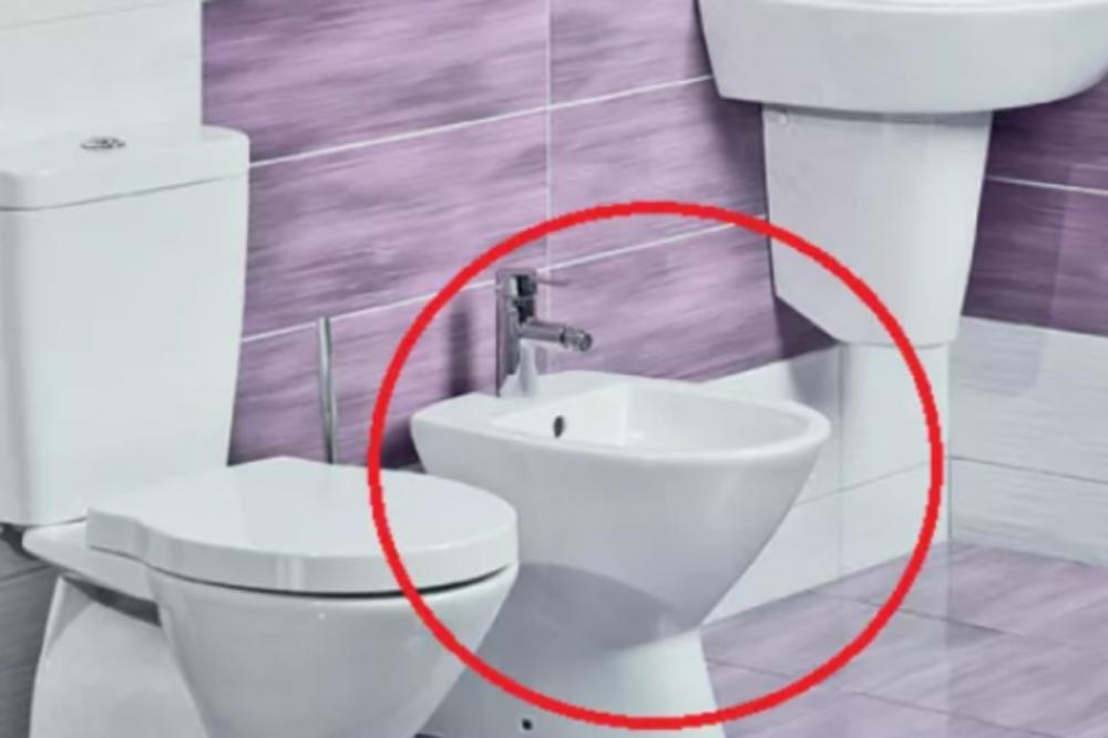 SRBIN JE DOŠAO IZ NEMAČKE, PA UGRADIO BIDE! Kad su ga provalili u SELU, uradio je nešto NEZAMISLIVO!