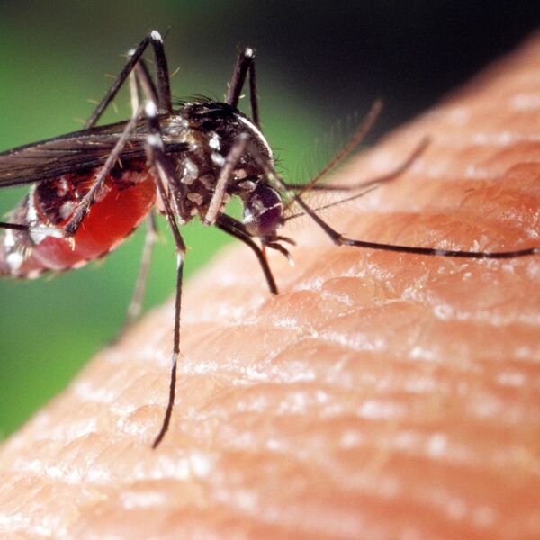 Nastavlja se akcija suzbijanja komaraca u ovim beogradskim naseljima: Ovo je spisak lokacija