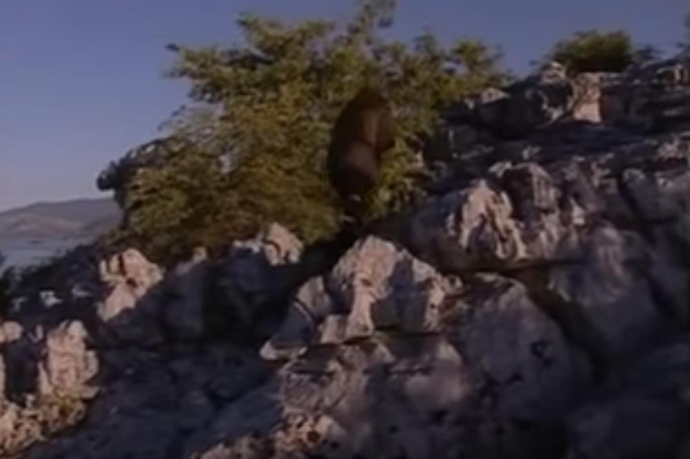 POTRESNO SVEDOČENjE MONAHINJE KOJU SU NAPALI ALBANCI: Rekli su nam da će nas oterati, nudili su nam OVO da odemo