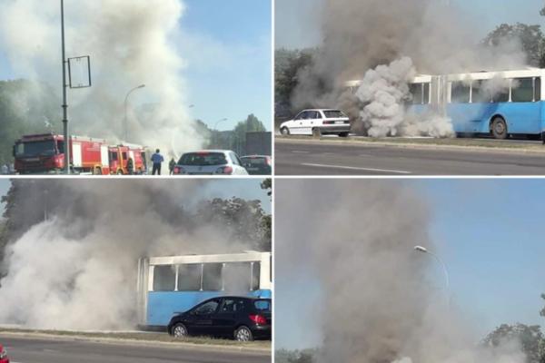 VATRA PROGUTALA AUTOBUS U NOVOM SADU! Pokvario se, krenuo za garažu, PA SE DESIO UŽAS! (FOTO)
