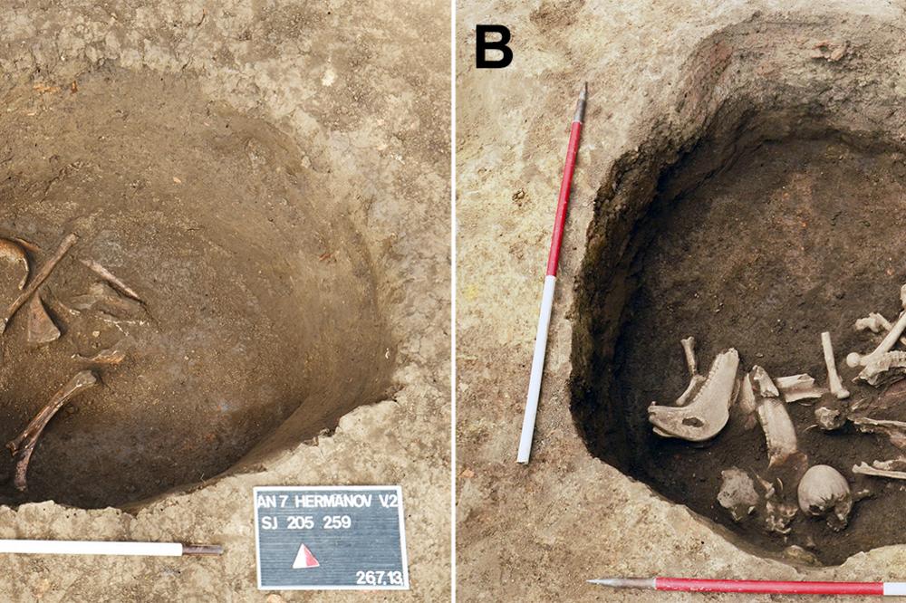 U HRVATSKOJ PRONAĐENE DREVNE LOBANJE DEČAKA: Tragovi na njima ukazuju da su im radili nešto JEZIVO! (FOTO)