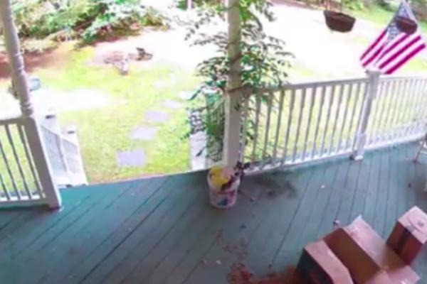 PORODICI JE NEKO UKRAO PAKET ISPRED KUĆE: Kada su pogledali snimak kamere, PRETRNULI SU (VIDEO)