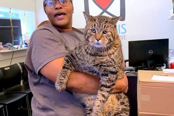 MNOGI NISU VEROVALI KAD SU VIDELI FOTKU OVE MAČKETINE: Ali istina je! (FOTO)