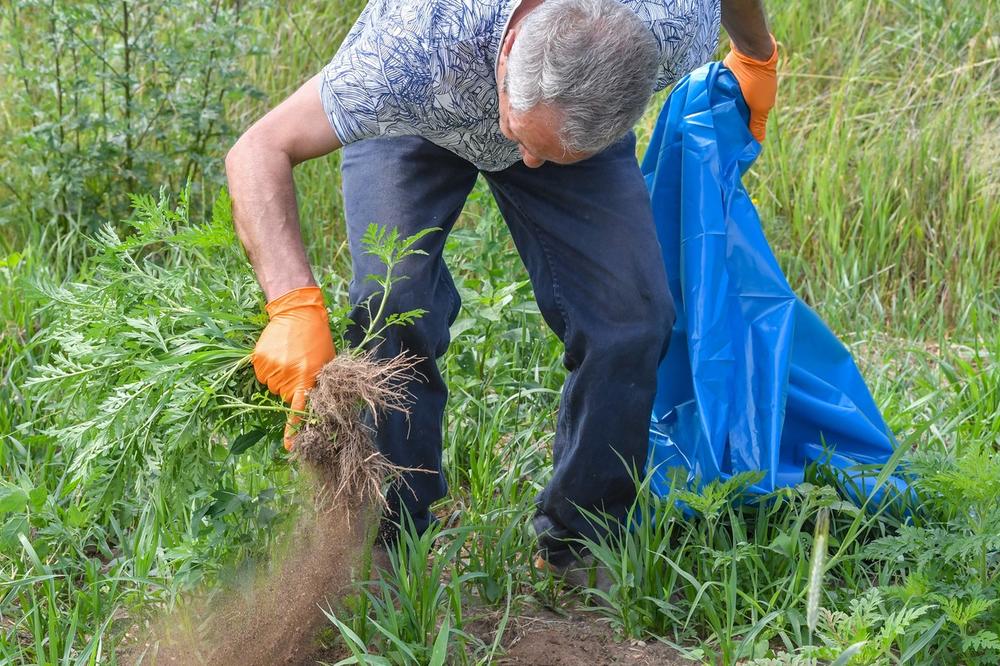 OPASNO JE IZLAZITI NAPOLJE OD 9.00 DO 13.00 ČASOVA! Kritično je narednih 20 dana!