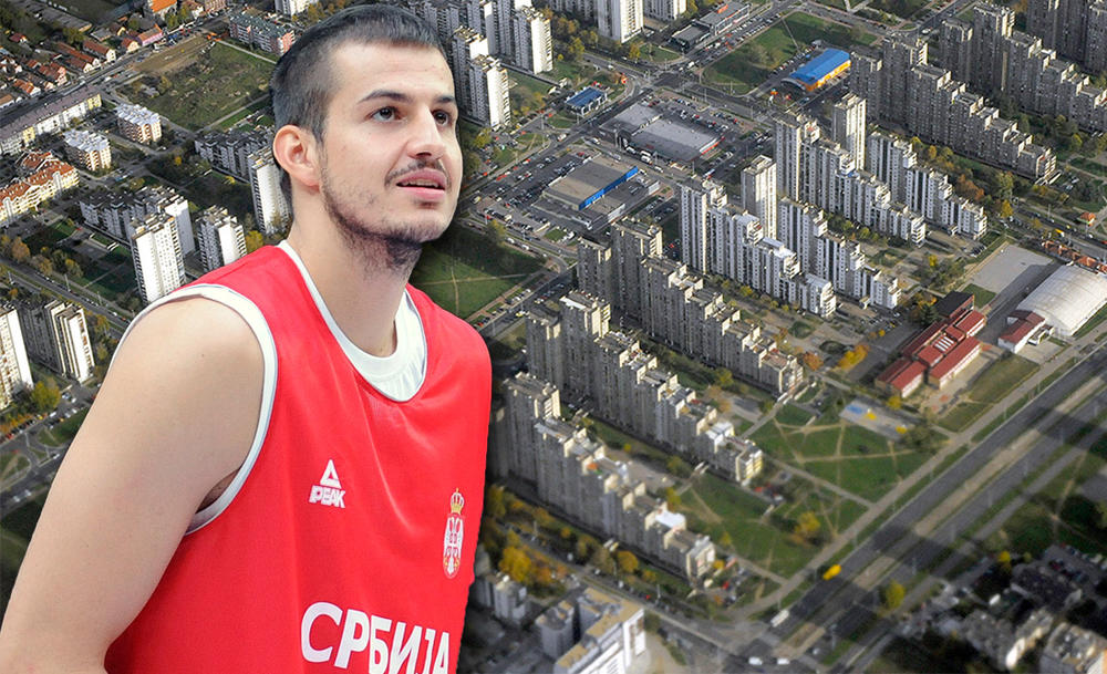 Nemanja Bjelica  