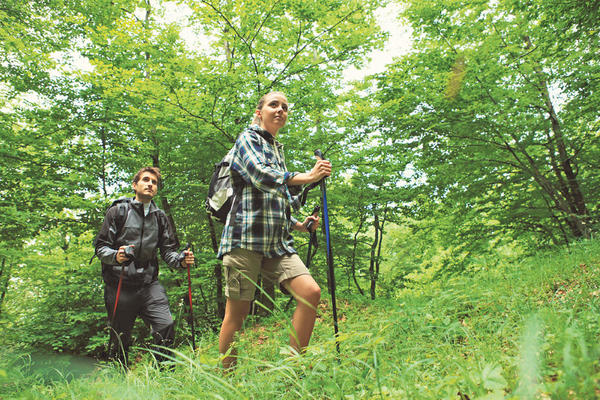 ZASADI DRVO, ZASADI SVOJ KISEONIK: Šume nas leče