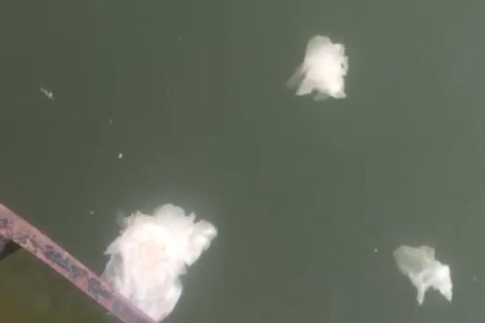 FEKALIJE I TOALET PAPIR PLIVAJU SAVOM: Beograđani u reku bacaju i PELENE, ovaj video je SKANDAL (VIDEO)