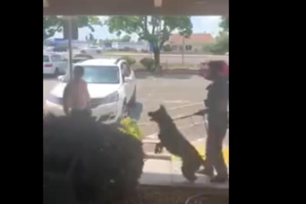 PIJANDURA JE IZAZIVALA POLICIJSKOG PSA: A onda je policajcu bilo svega dosta! (VIDEO)