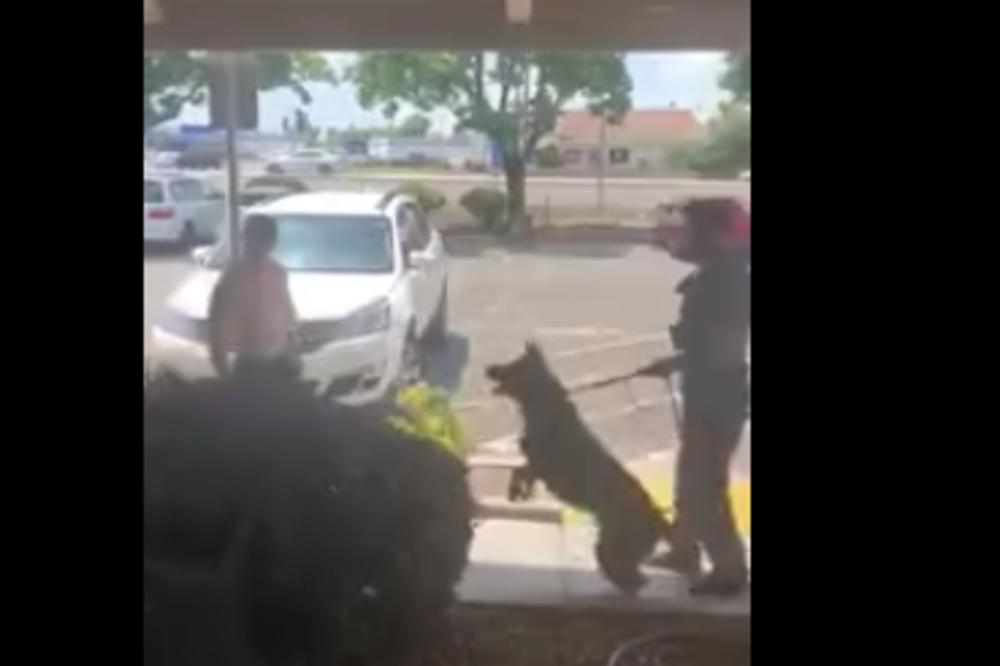 PIJANDURA JE IZAZIVALA POLICIJSKOG PSA: A onda je policajcu bilo svega dosta! (VIDEO)