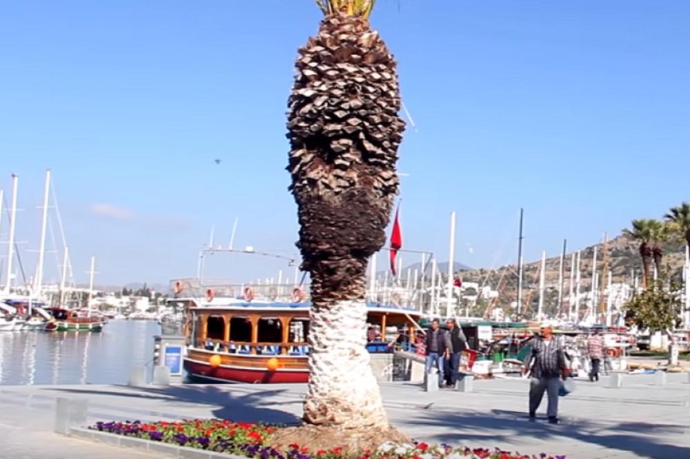 DEVOJČICU (12) USISALA PUMPA DOK SE KUPALA! Stravična tragedija u omiljenom SRPSKOM LETOVALIŠTU!