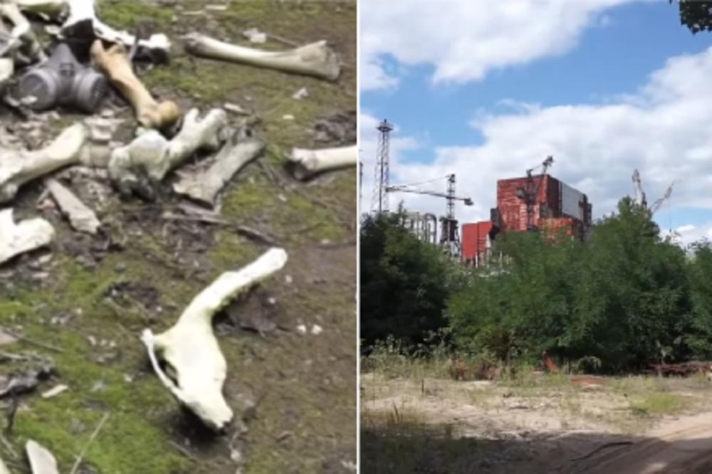 ŠTA GOD DA JE, BILO JE OGROMNO! Ušao je u reaktor broj 5 u Černobilju i zabeležio JEZIVE PRIZORE! (VIDEO)