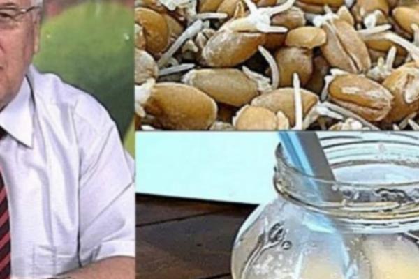 Ovo je istina o limunu i lečenju bolesti!