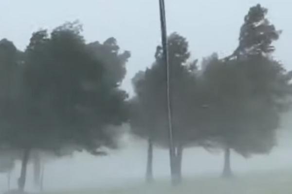 JAKO NEVREME UDARILO CRNU GORU! Vetar rušio stabla na automobile, snimak da se naježiš! (VIDEO)