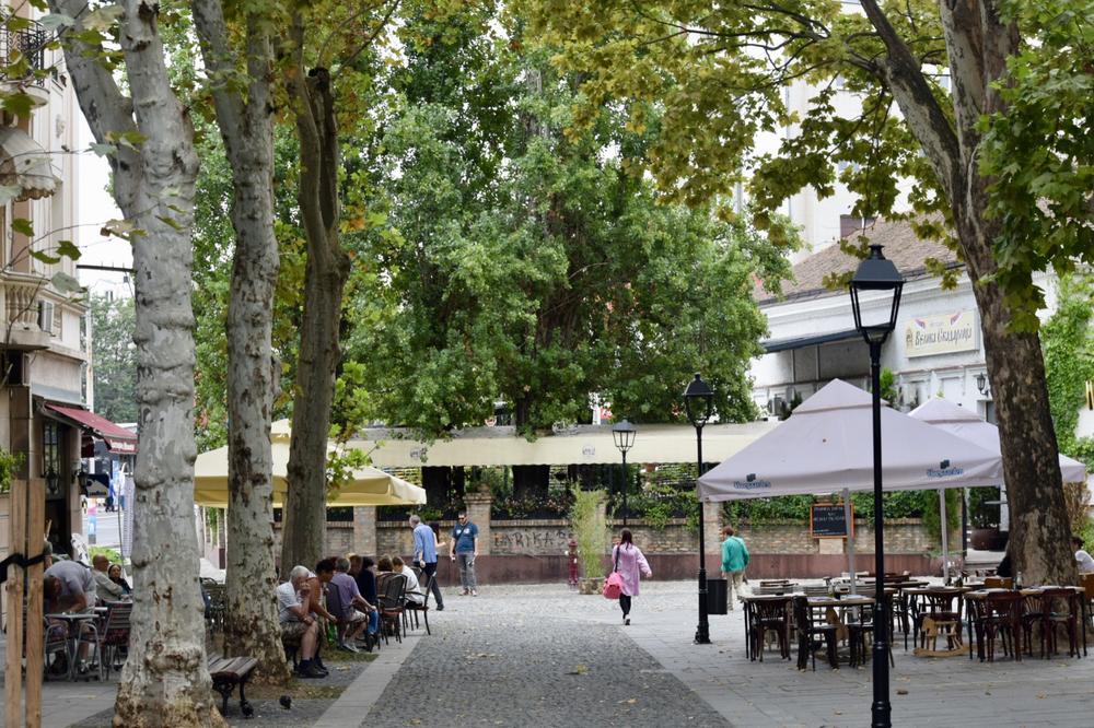 POJAVIO SE JEZIV SNIMAK POKUŠAJA UBISTVA U SKADARLIJI: Vitlao PIŠTOLJEM, ljudi se KRILI ispod stolova (VIDEO)