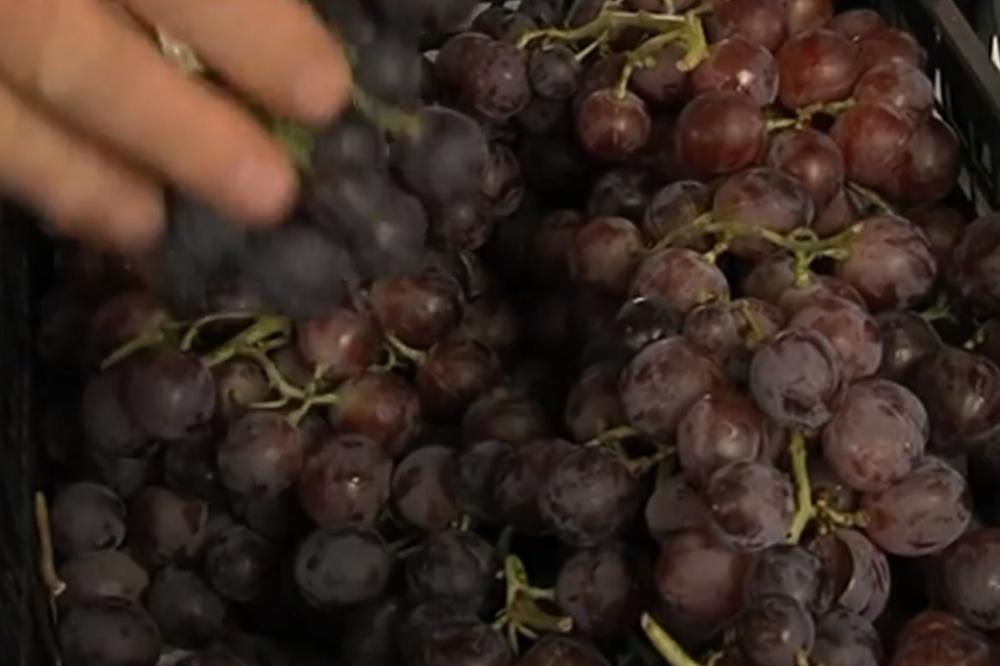 OVOJ GRUPI LJUDI GROŽĐE SE NE PREPORUČUJE NI U JEDNOM SLUČAJU: Velike su šanse da ste među NJIMA! (VIDEO)