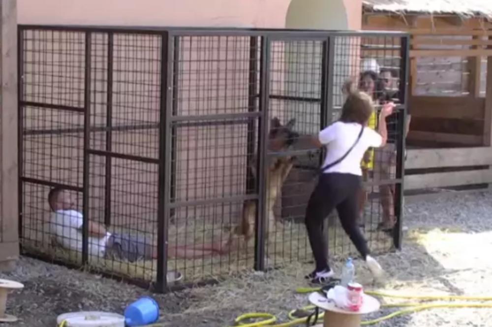 VLADIMIROV PAS NAPAO MILJANU KULIĆ: Pokušala da uđe u KAVEZ i nastao LOM, psovala i VRIŠTALA (VIDEO)
