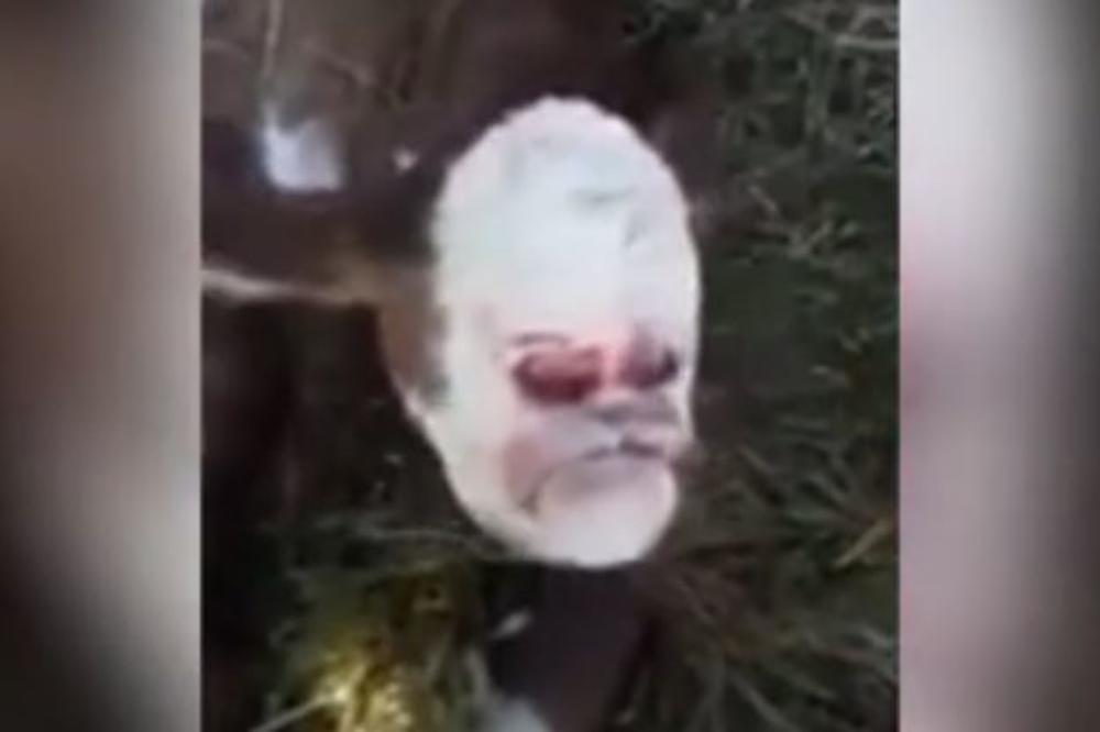 ŠTA JE OVO, LEBE MEKANI??? Rođeno TELE SA LJUDSKOM GLAVOM, niko ne veruje DOK NE VIDI SNIMAK! (VIDEO)