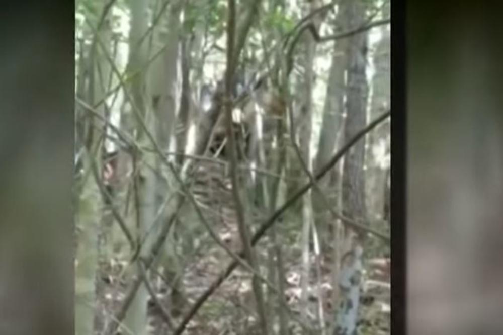 SNIMAK KOJI MENJA SVE! Da li je ovo KONAČNI DOKAZ da ONI postoje?! (VIDEO)