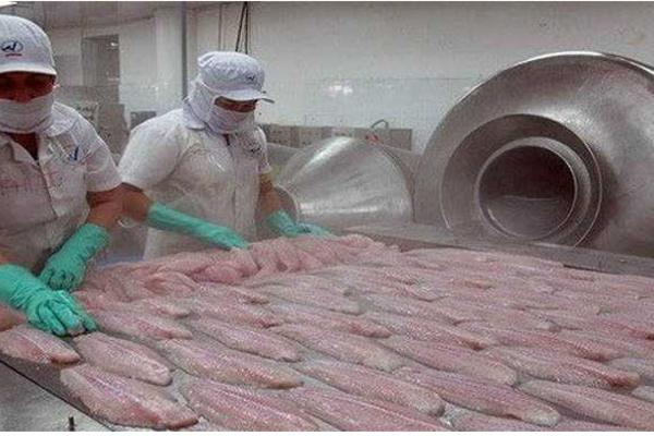 DA LI GMO HRANA IZAZIVA TEŠKU BOLEST? Ovo su činjenice