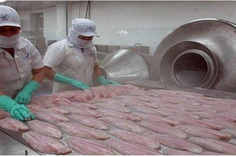 DA LI GMO HRANA IZAZIVA TEŠKU BOLEST? Ovo su činjenice