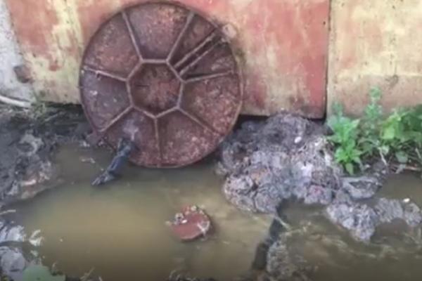 DECA U MLADENOVCU DO ŠKOLE GAZE PO FEKALIJAMA: Nadležni tvrde da su za sve krive GLAVICE KUPUSA (VIDEO)