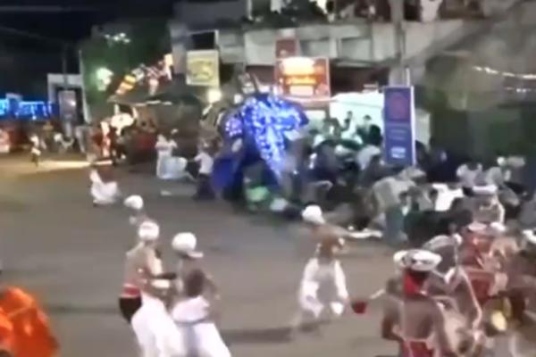 SLONOVI NASRNULI NA LJUDE, JEDVA IZVUKLI ŽIVU GLAVU! Tokom proslave POBESNELI, pa povredili 17 osoba (VIDEO)