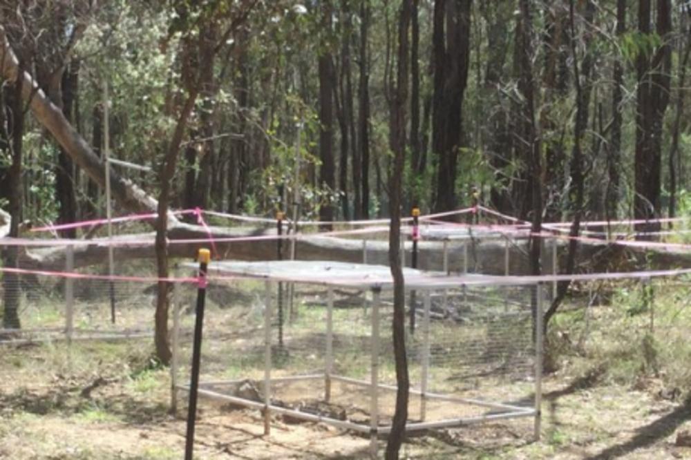 STAVILI SU KAMERU U MRTVAČKI SANDUK: Ono što su snimili ih je PRESTRAVILO! Kako je ovo moguće?