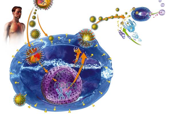 OVE SIPMTOME MOŽETE IMATI SVAKOG DANA: Izgledaju bezazleno, ali MOGU VAS KOŠTATI ŽIVOTA