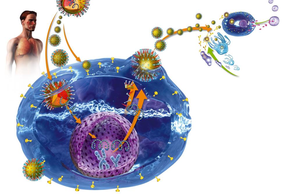 OVE SIPMTOME MOŽETE IMATI SVAKOG DANA: Izgledaju bezazleno, ali MOGU VAS KOŠTATI ŽIVOTA