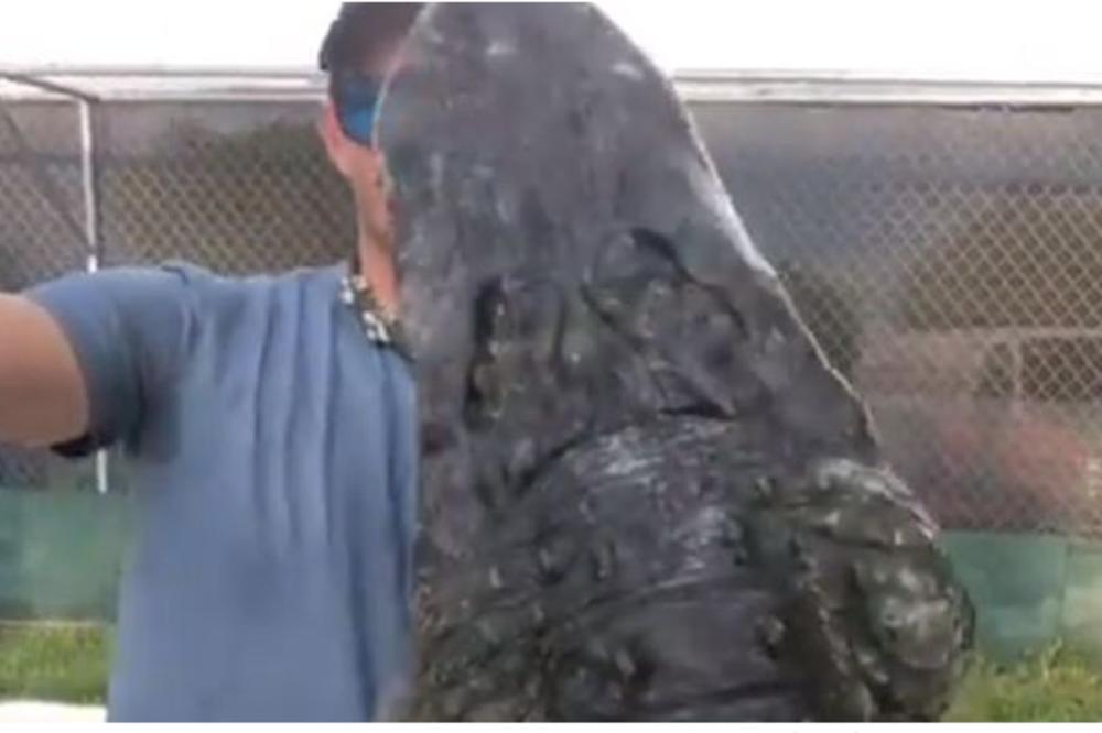 HRANIO JE ALIGATORA A ONDA GA JE NEMAN ZGRABILA ZA GLAVU: zastrašujući snimak širi se internetom! (VIDEO)