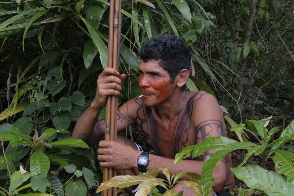 Pleme Tembe, Amazonija