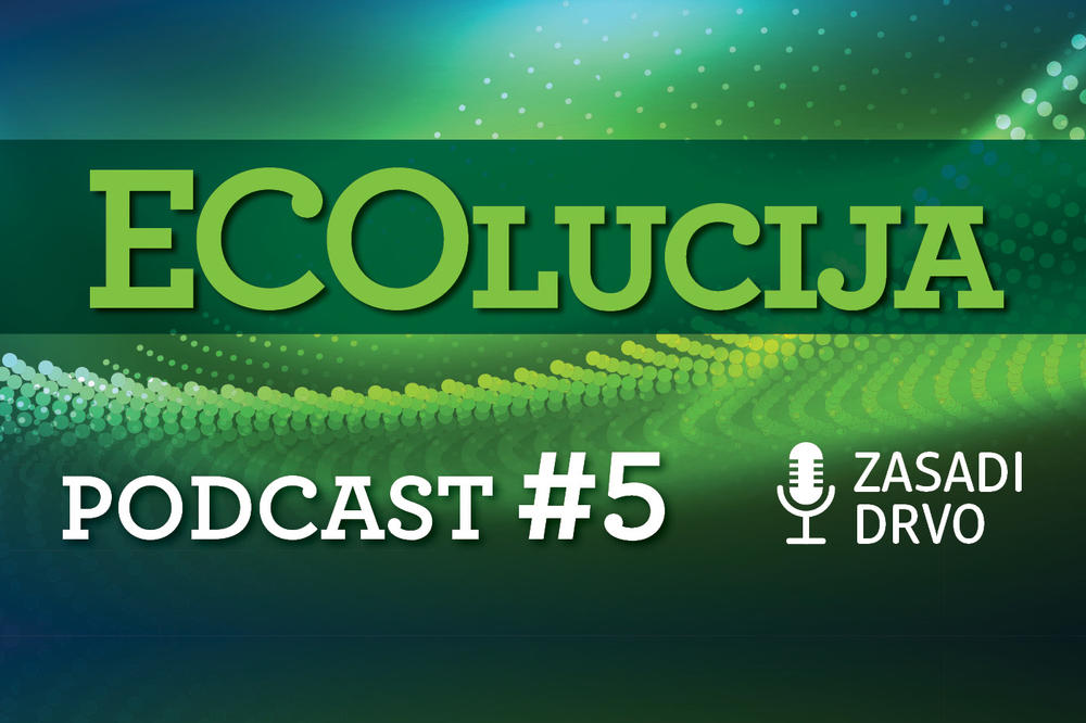 ZASADI DRVO - INSPIRACIJA ZA SVE NAS