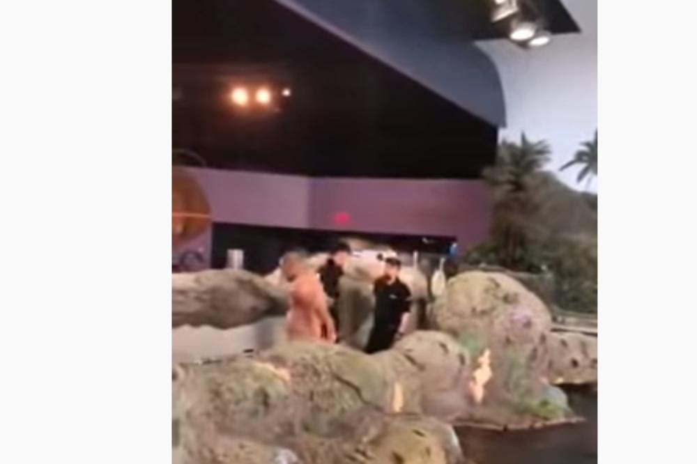 OVOG ČOVEKA UHAPSILI SU U AKVARIJUMU: Ono što je skroz LUDO i jako OPASNO! Napravio pometnju (VIDEO)