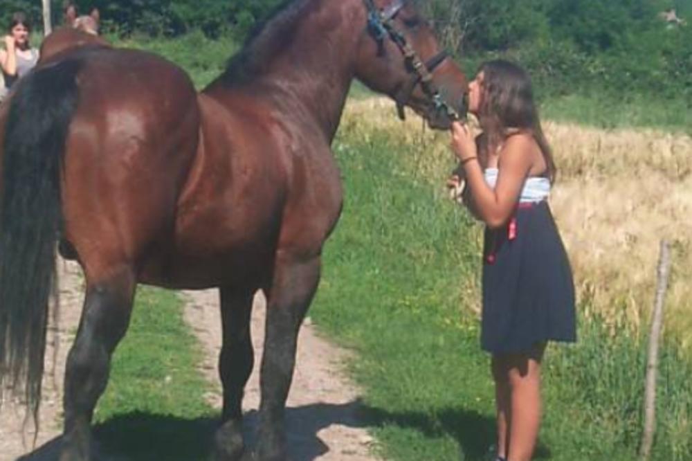 JELENA (20) JE OSTALA BEZ RODITELJA! Morala je da proda i KOBILU DA BI IMALA ŠTA DA JEDE! Danas je PONOS SRBIJE