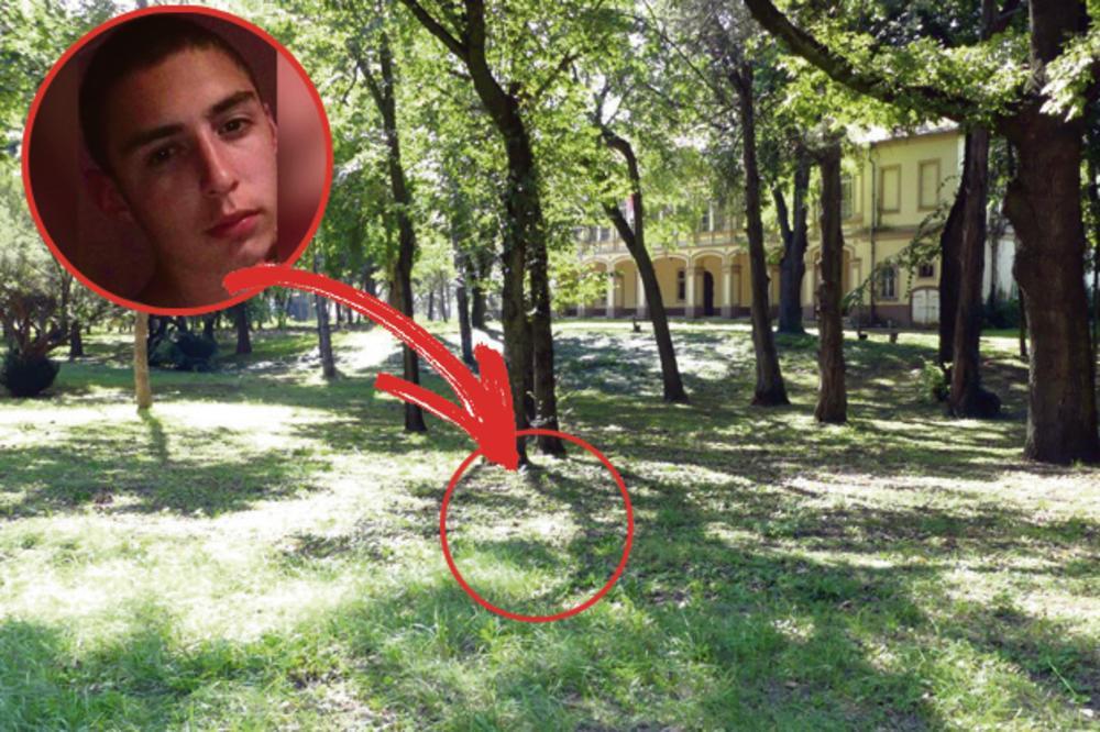 ZVALA GA JE I ČEKALA, NIJE SE JAVLJAO! Otkriveno gde je Martin krenuo kada su ga BRAĆA PRESRELA I UBILA OD BATINA